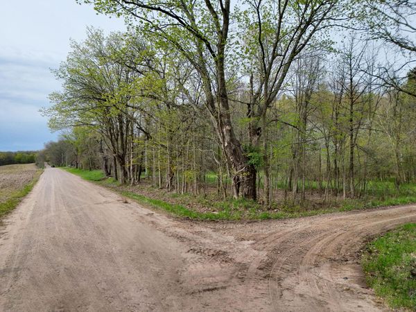 V/L Biggs Avenue NE, Lowell, MI 49331