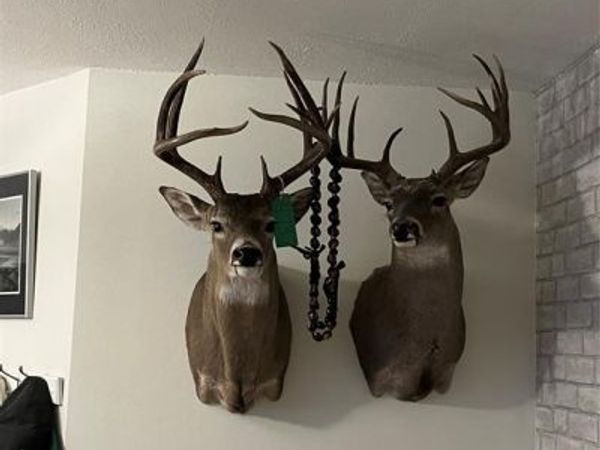 TBD 90 Cr 220, Wingate, TX 79566