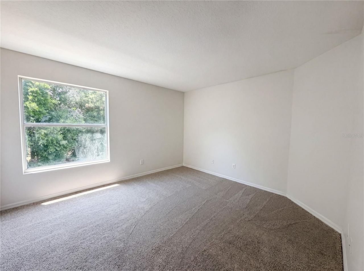 8116 River Mont Way , Temple Terrace, FL 33637 Photo