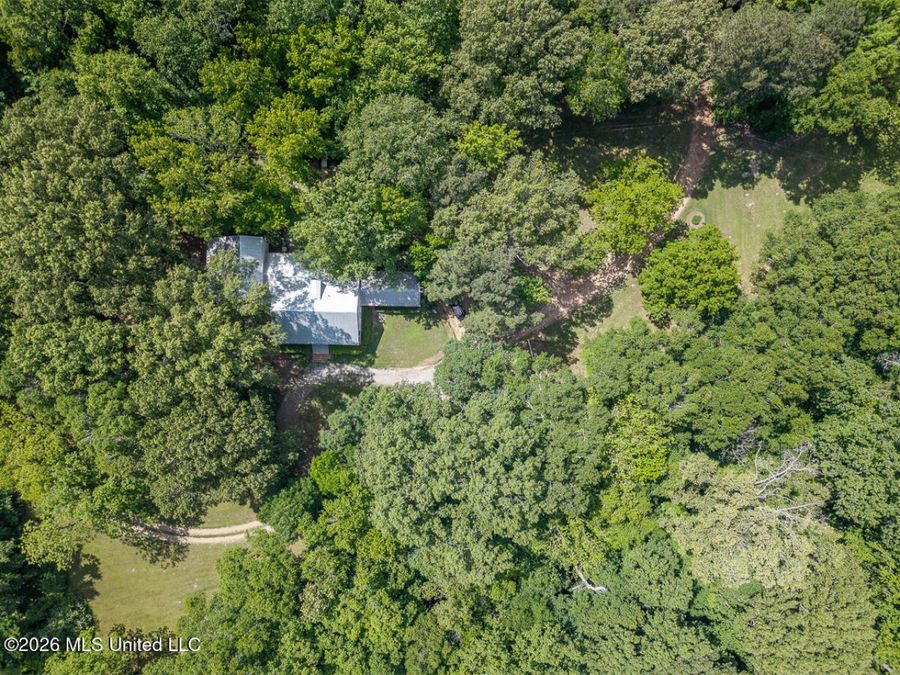 Property Image 68