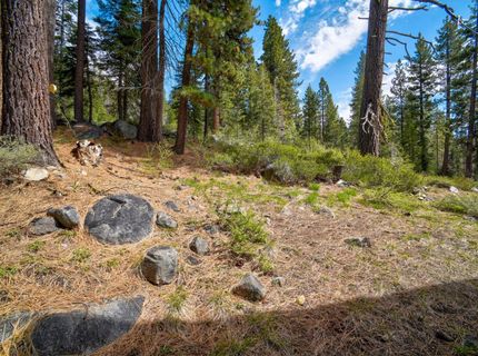 51255 Jeffery Pine Dr, Soda Springs, CA 95728 Photo