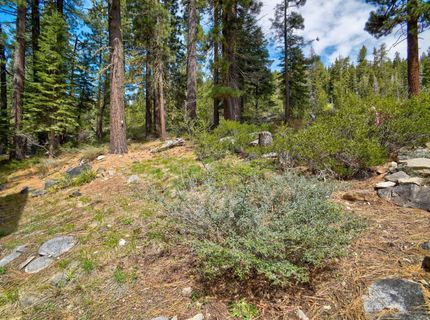 51255 Jeffery Pine Dr, Soda Springs, CA 95728 Photo