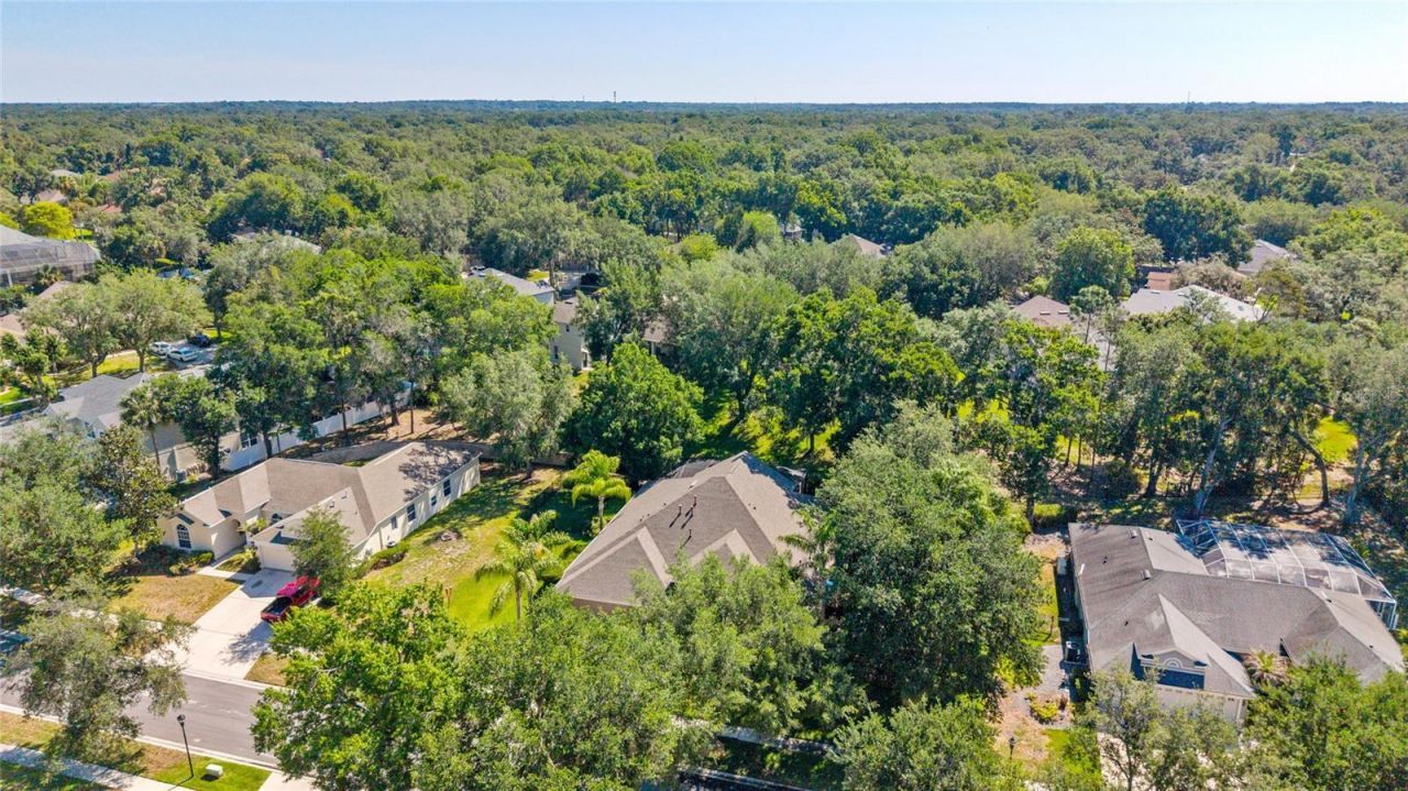 62 Camelot Ridge Drive, Brandon, FL 33511 Photo