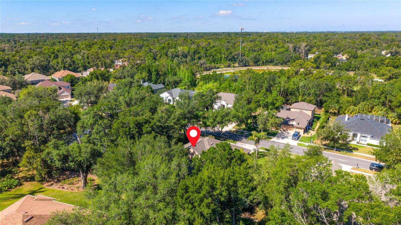 62 Camelot Ridge Drive, Brandon, FL 33511 Photo