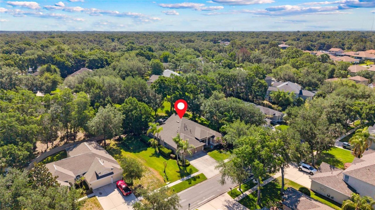 62 Camelot Ridge Drive, Brandon, FL 33511 Photo