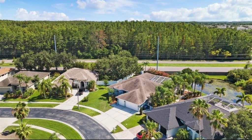 12910 Vicksburg Drive, Tampa, FL 33625 Photo