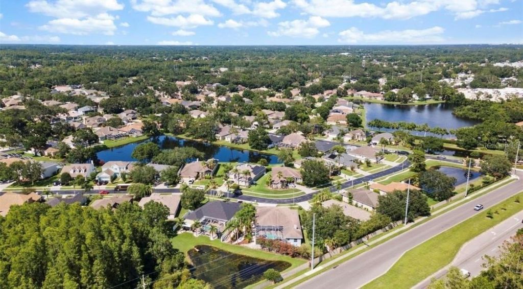 12910 Vicksburg Drive, Tampa, FL 33625 Photo