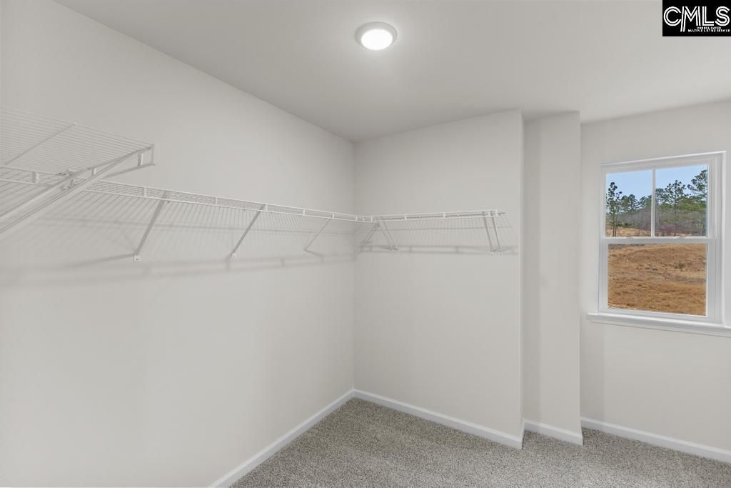 303 Balbriggan Place Photo 23