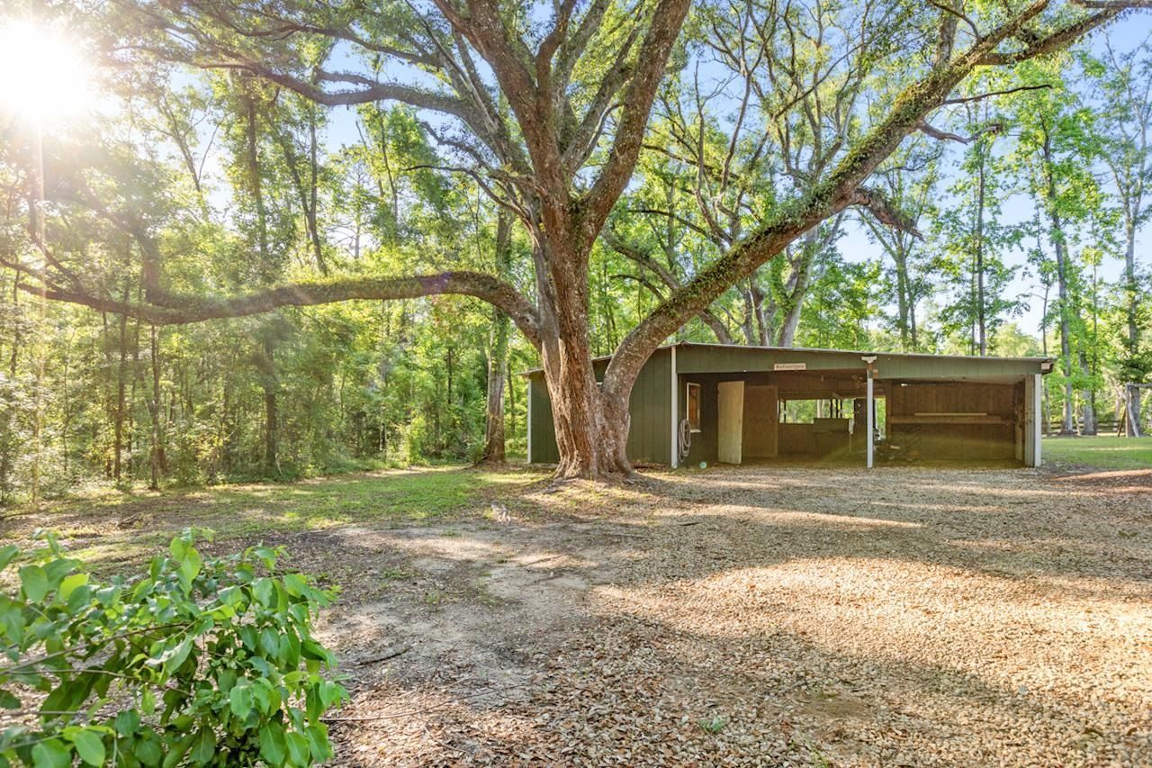 240 Smokehouse Way , Greenville, FL 32331 Photo