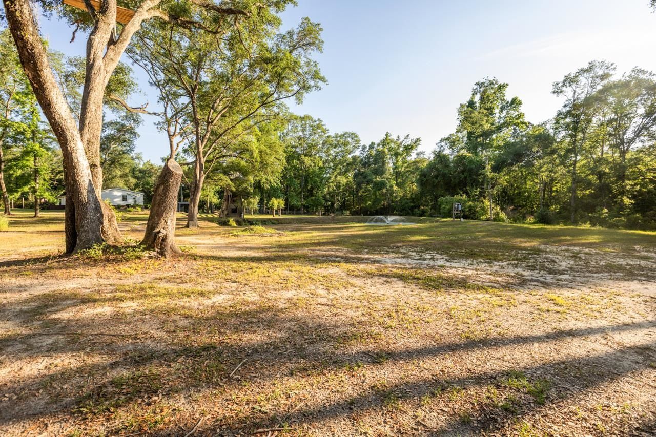 240 Smokehouse Way , Greenville, FL 32331 Photo