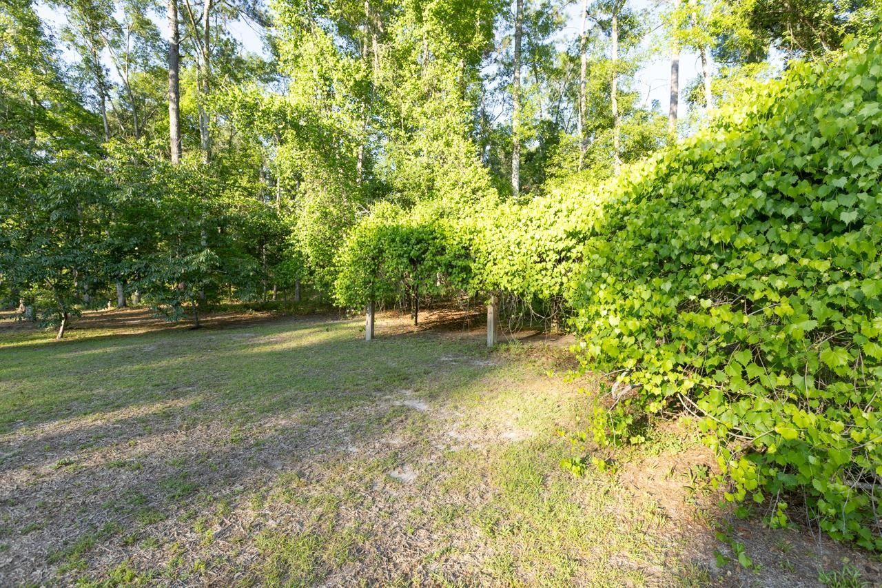 240 Smokehouse Way , Greenville, FL 32331 Photo