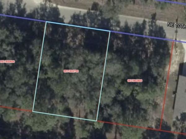 TBA NE 10TH STREET , WILLISTON, FL 32696