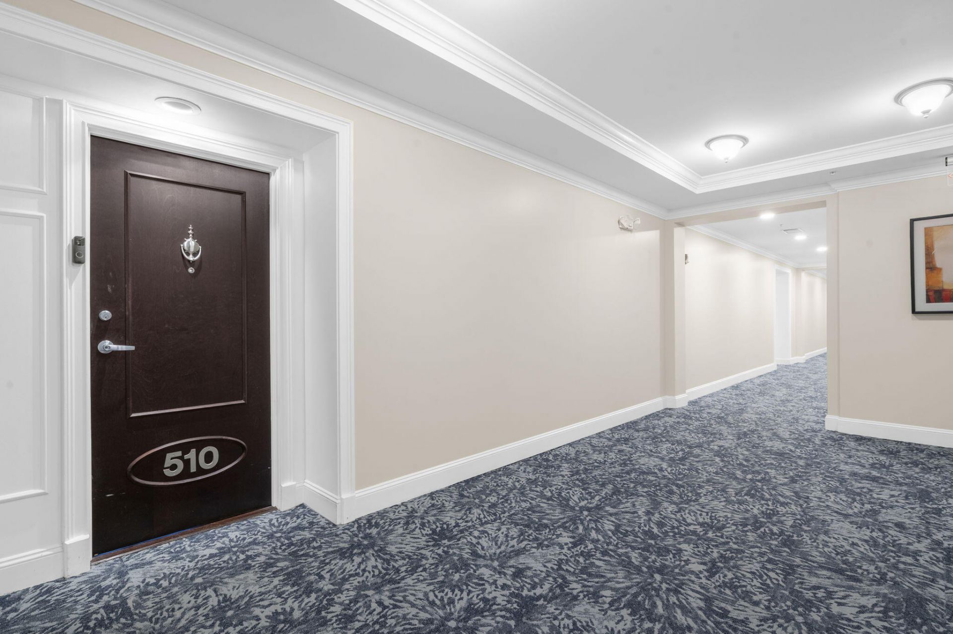 498 Albemarle Road Photo 18