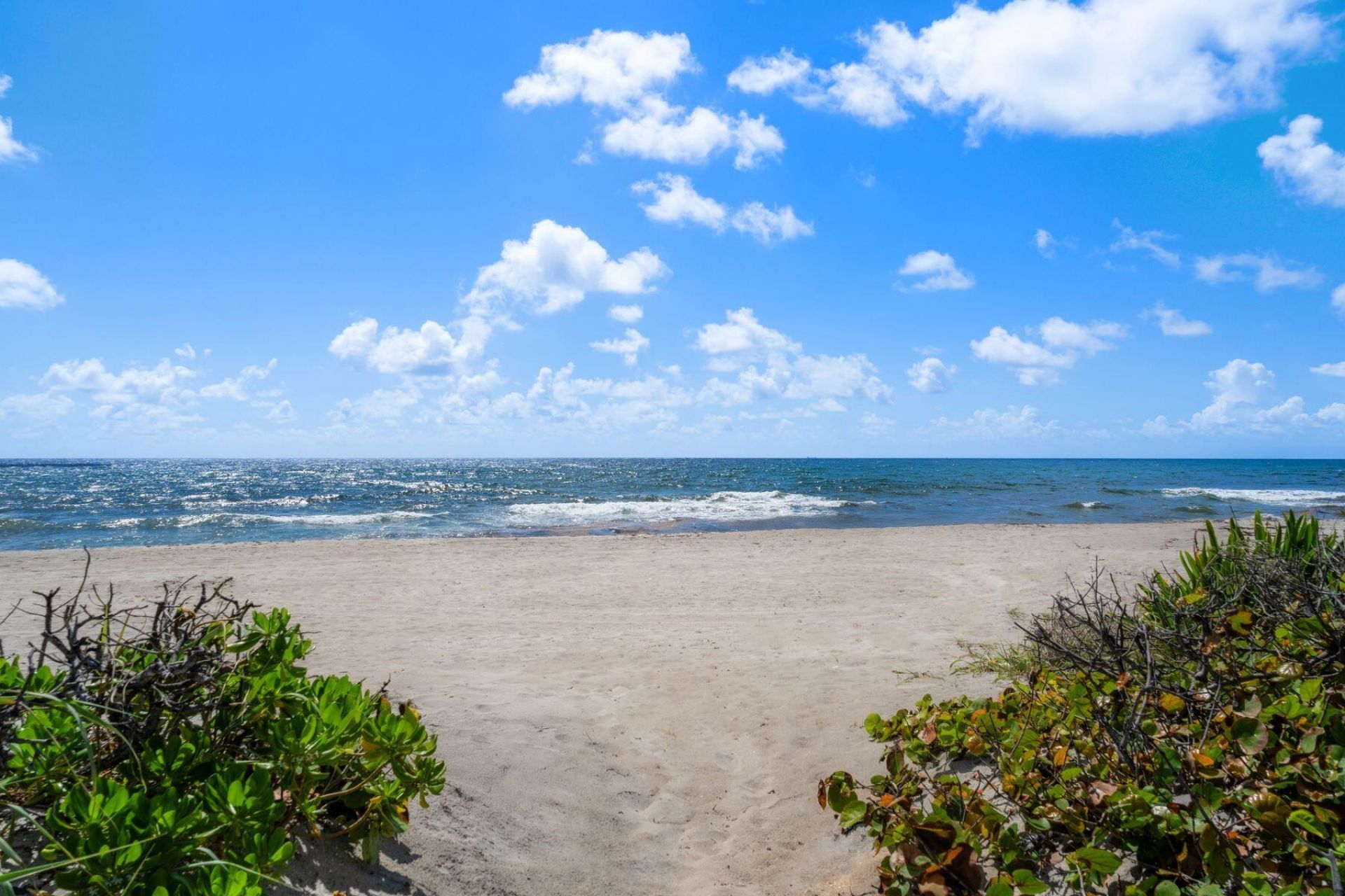 1131 Hillsboro Mile, Hillsboro Beach, FL 33062 Photo