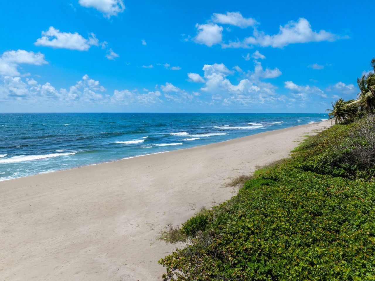 1131 Hillsboro Mile, Hillsboro Beach, FL 33062 Photo