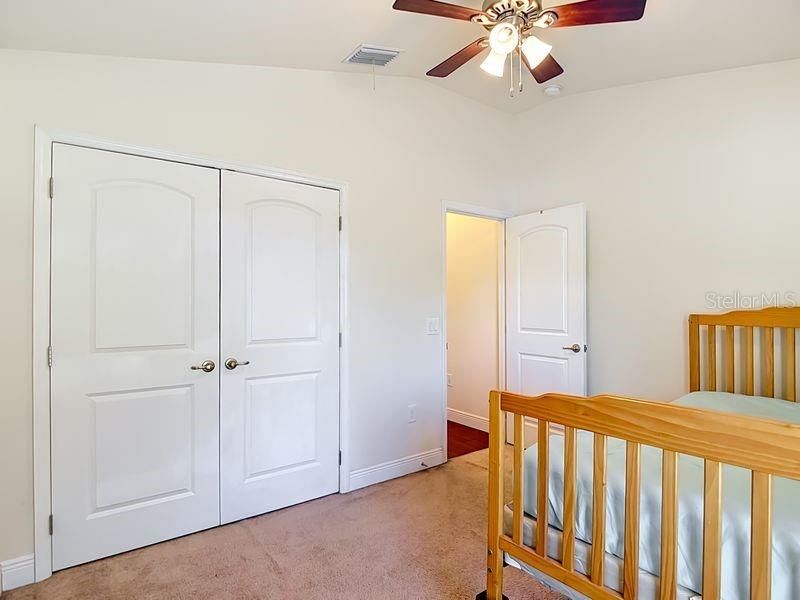 12244 Loopback Drive, San Antonio, FL 33576 Photo