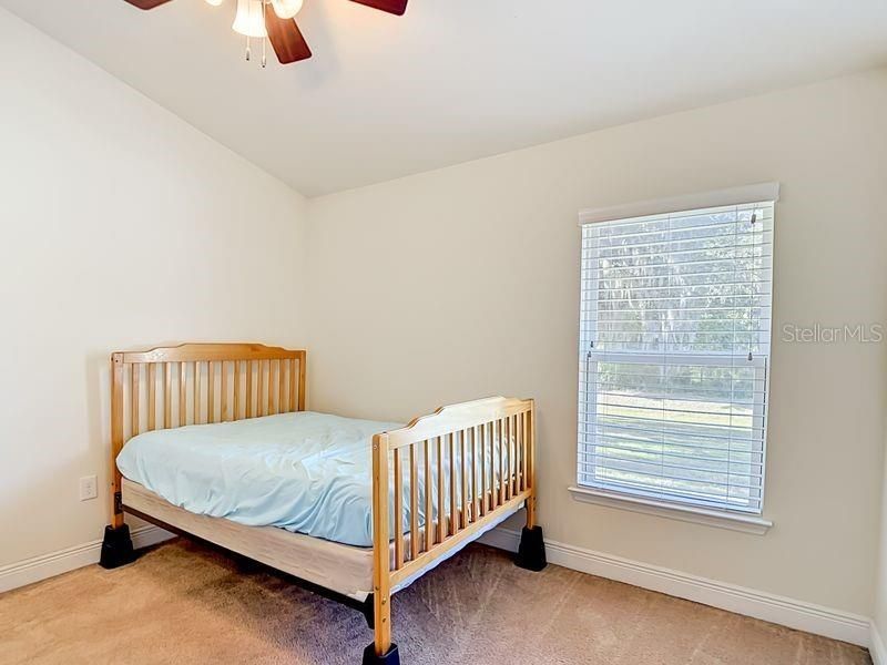 12244 Loopback Drive, San Antonio, FL 33576 Photo
