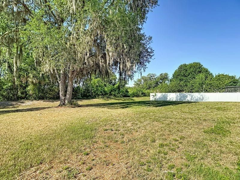 12244 Loopback Drive, San Antonio, FL 33576 Photo