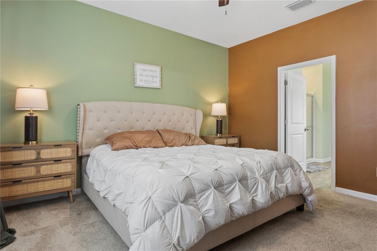 35159 Daisy Meadow Loop , Zephyrhills, FL 33541 Photo