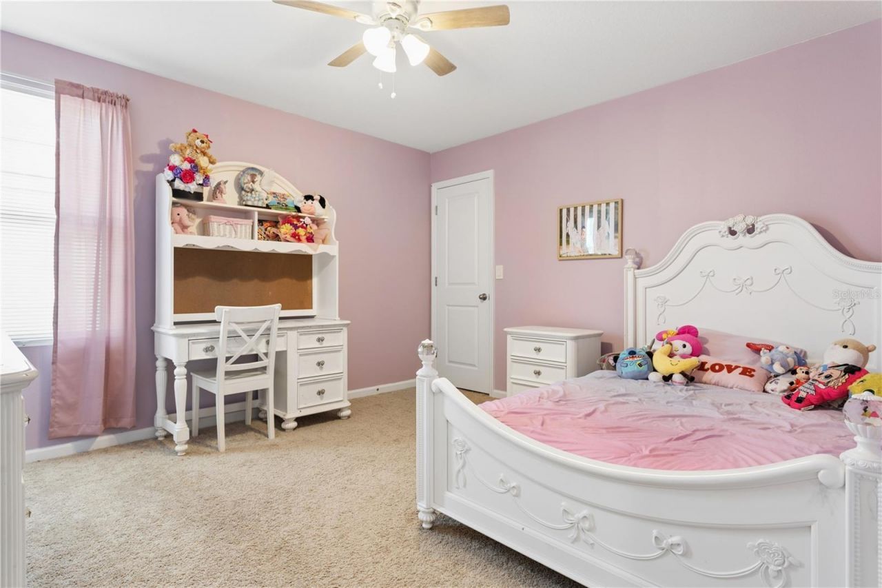 35159 Daisy Meadow Loop , Zephyrhills, FL 33541 Photo