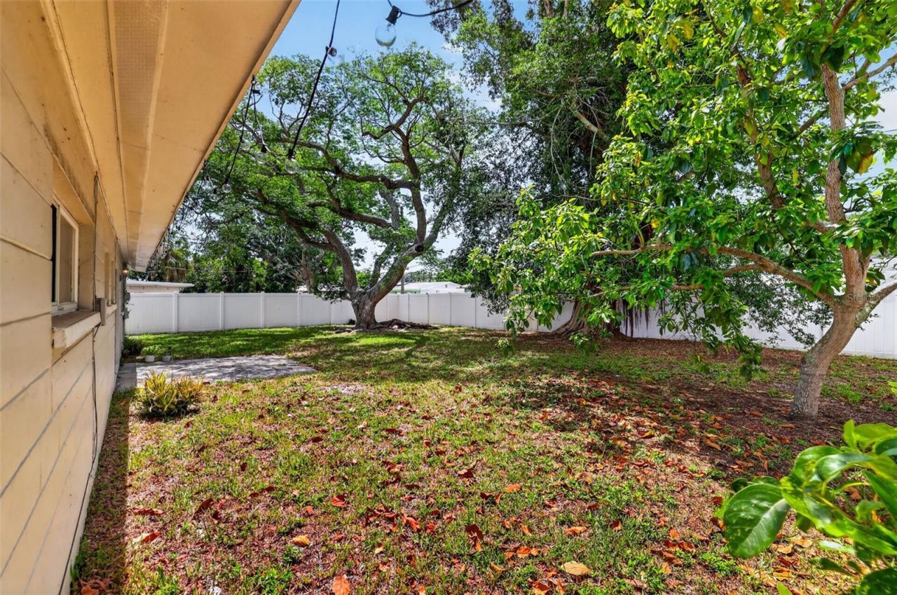 3673 Searobin Drive Se, Saint Petersburg, FL 33705 Photo