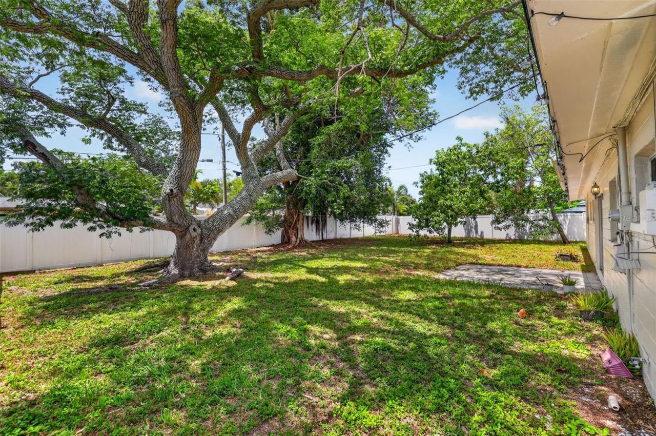 3673 Searobin Drive Se, Saint Petersburg, FL 33705 Photo