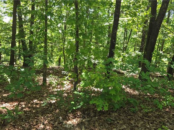 Tummell Drive , Bella Vista, AR 72715