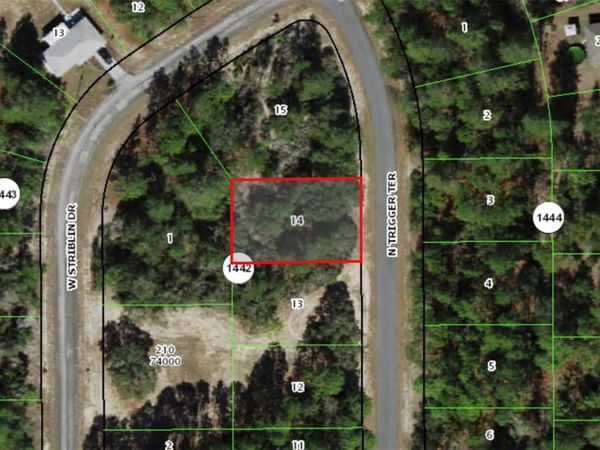 11126 N TRIGGER TERRACE , CITRUS SPRINGS, FL 34433