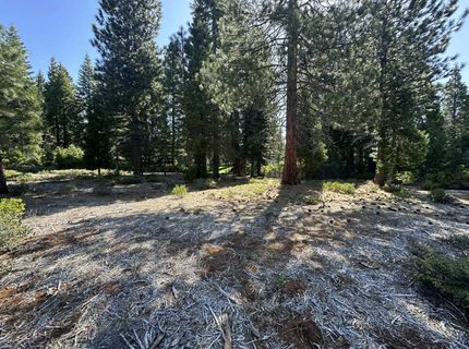 25 Highwood Circle, Lake Almanor, CA 96137 Photo