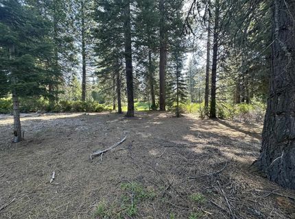 25 Highwood Circle, Lake Almanor, CA 96137 Photo