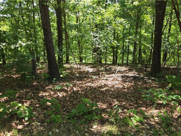 Tummell Drive , Bella Vista, AR 72715