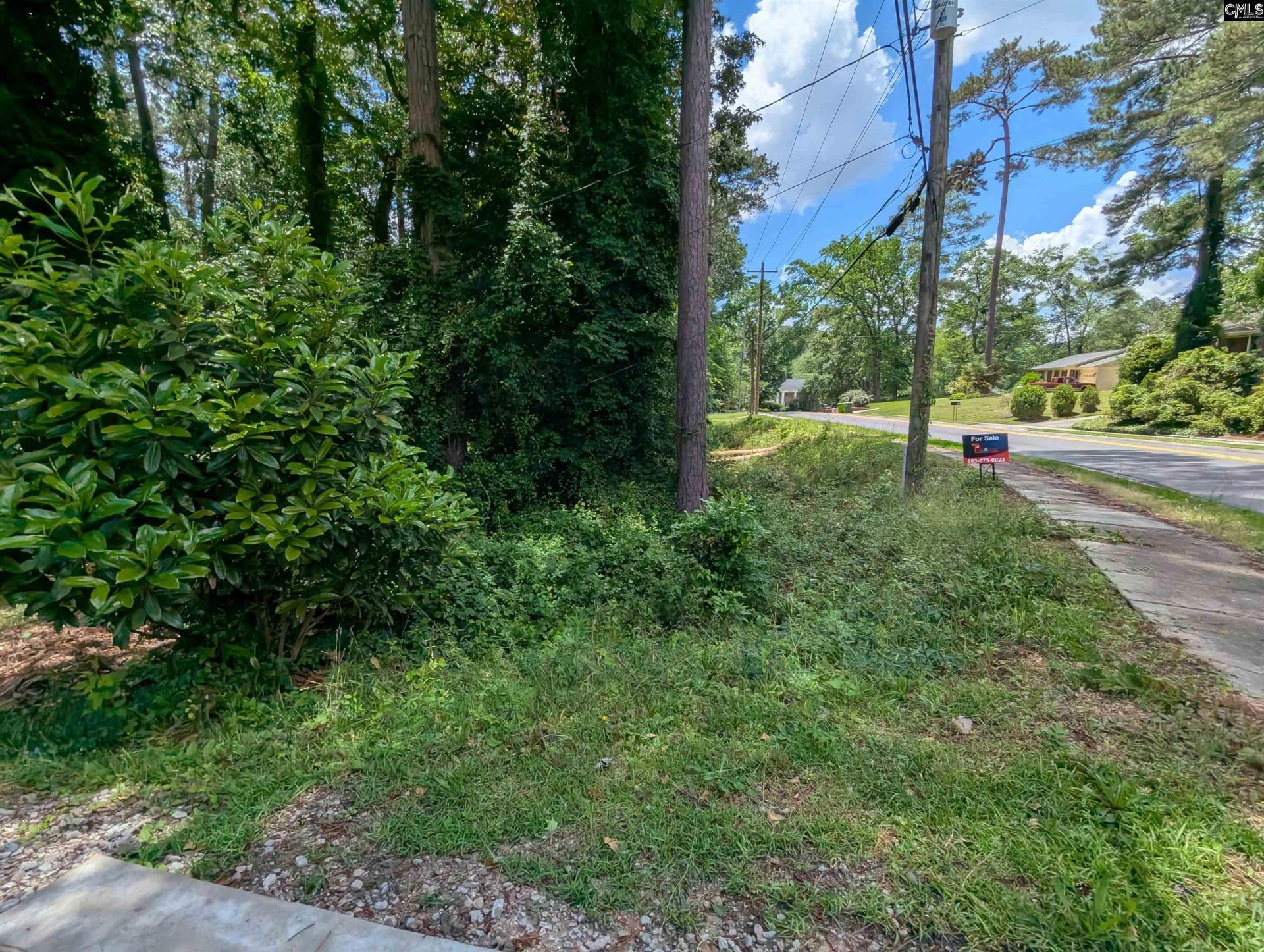 Nx Northshore Road Photo 6