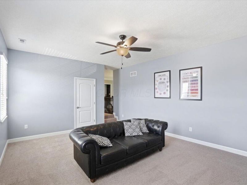 6412 Dickens Lane, Plain City, OH 43064 Photo 43