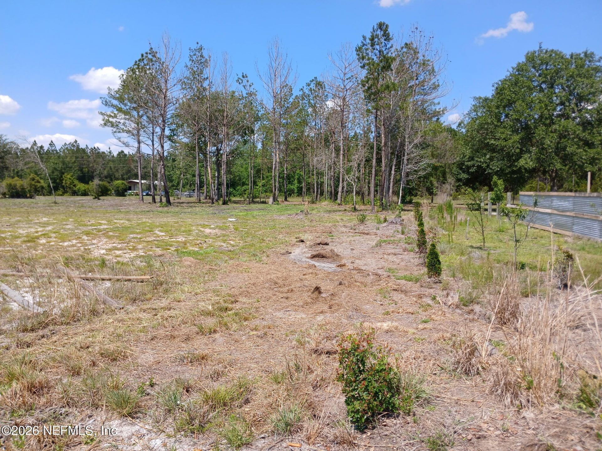 0 County Rd 241, Lake Butler, FL 32054 Photo