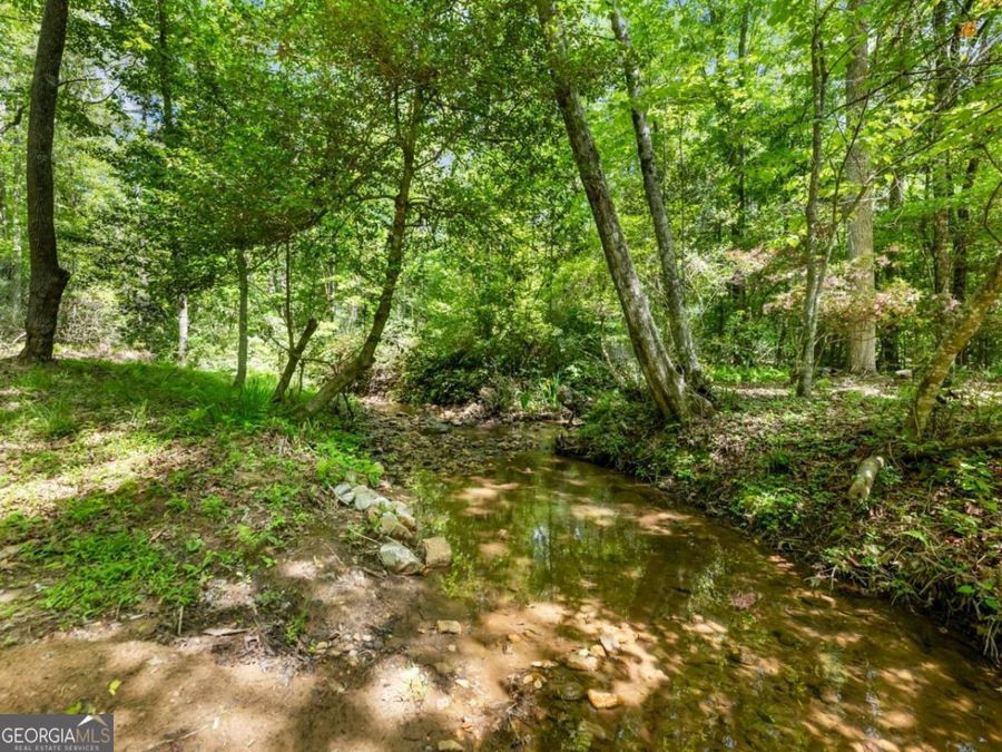 Property Image 54