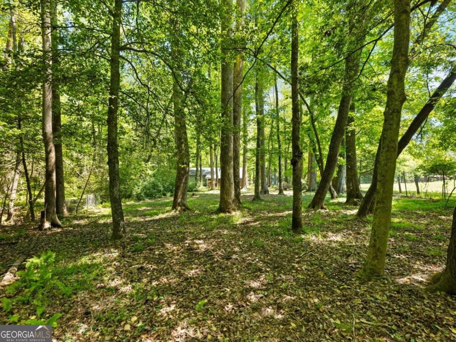 Property Image 86