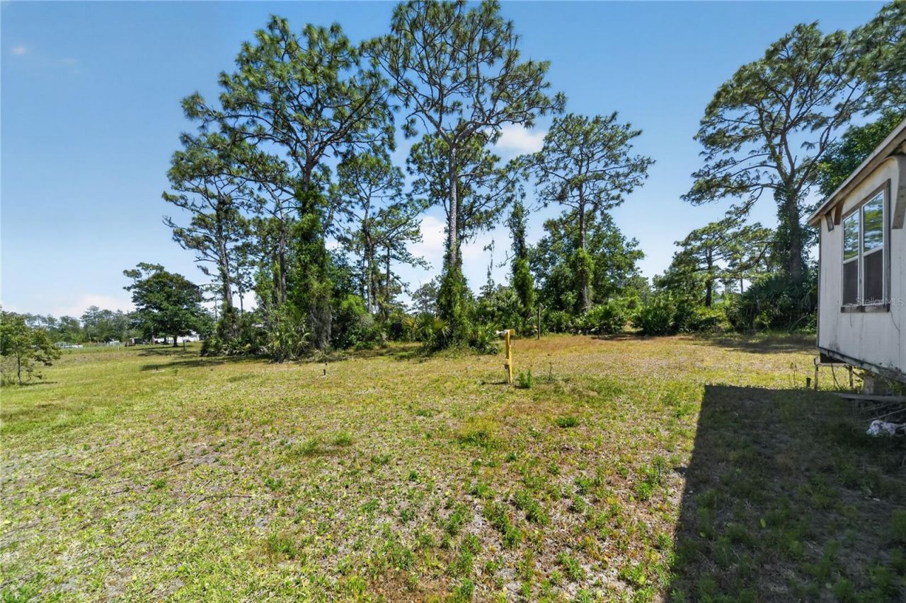 23000 Tex Wheeler Avenue , Christmas, FL 32709 Photo