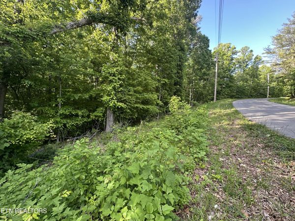 Pine Hollow Rd, Jacksboro, TN 37757