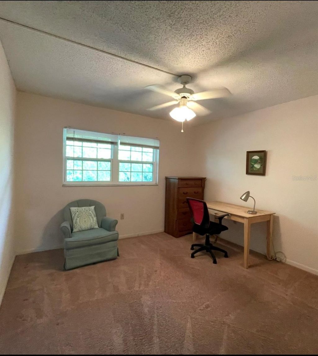 840 Virginia Street, Unit 303, Dunedin, FL 34698 Photo