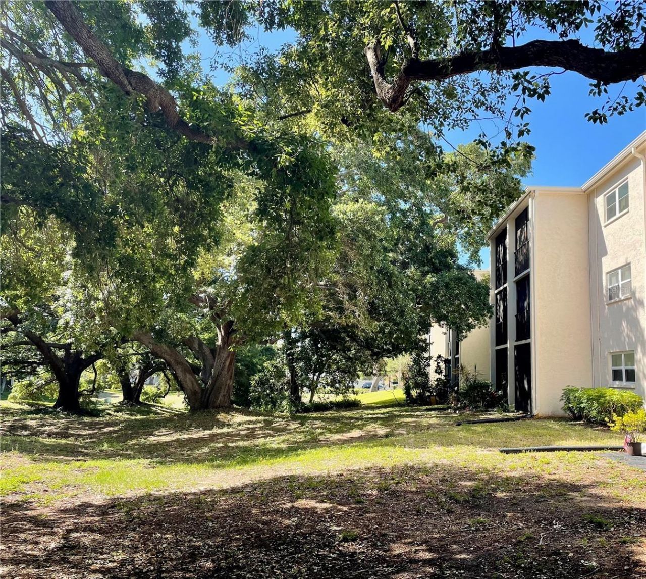 840 Virginia Street, Unit 303, Dunedin, FL 34698 Photo