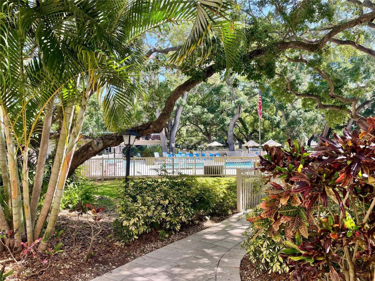 840 Virginia Street, Unit 303, Dunedin, FL 34698 Photo
