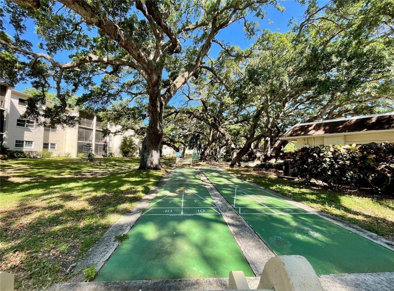 840 Virginia Street, Unit 303, Dunedin, FL 34698 Photo