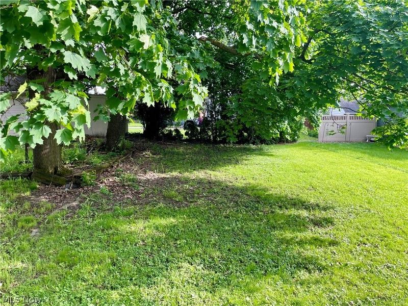 83 Smithsonian Street, Girard, OH 44420 Photo 19