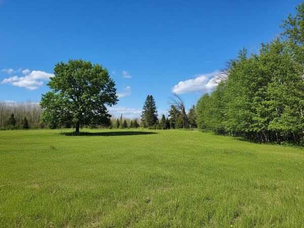 tbd Wildflower Lane NE, Blackduck, MN 56630