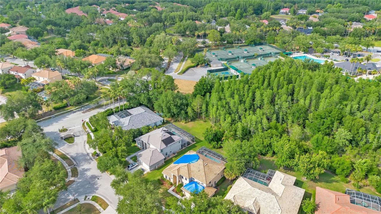 18013 Forest Retreat Lane, Tampa, FL 33647 Photo
