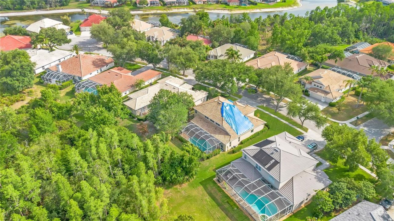 18013 Forest Retreat Lane, Tampa, FL 33647 Photo