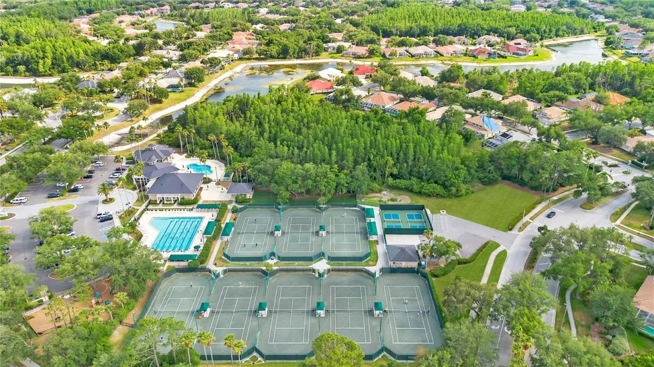 18013 Forest Retreat Lane, Tampa, FL 33647 Photo