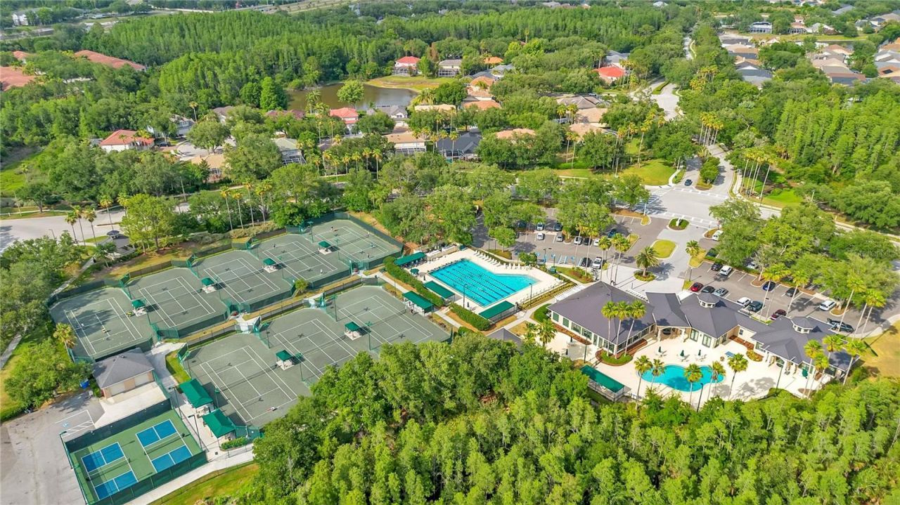 18013 Forest Retreat Lane, Tampa, FL 33647 Photo