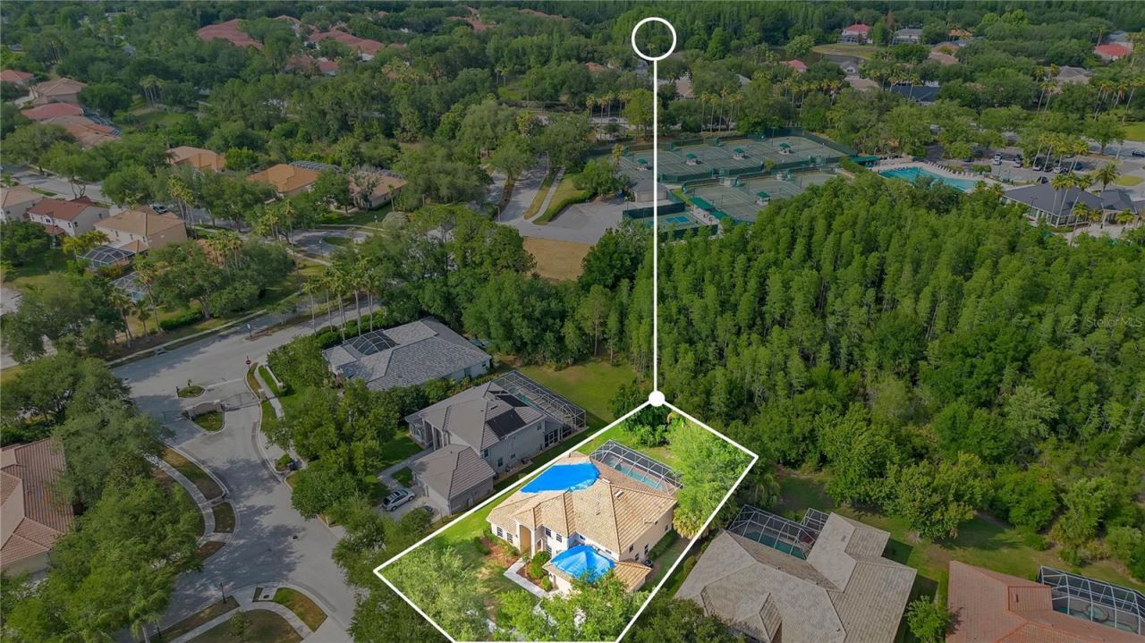 18013 Forest Retreat Lane, Tampa, FL 33647 Photo