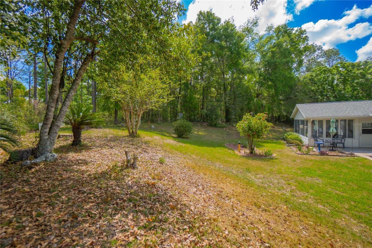 8067 SW 116th Loop, Ocala, FL 34481 Photo